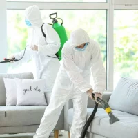 Pest Killer Mario Maciej Górecki