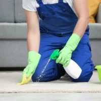 Pro-Clean Daniel Smereczyński