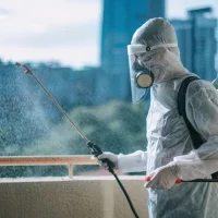 Pest Killer Mario Mariusz Biernacki