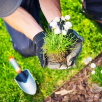 WM TECHNIKA OGRODOWA SPÓŁKA Z OGRANICZONĄ ODPOWIEDZIALNOŚCIĄ