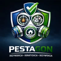 Pestagon Dpp Spółka z Ograniczoną Odpowiedzialnością