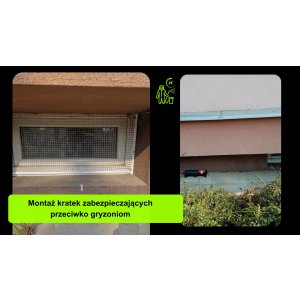Kratki przeciw gryzoniom