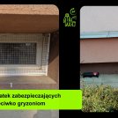 Kratki przeciw gryzoniom